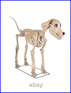 7 FOOT Skeleton Dog Skelly's Home Accent Halloween 2025 GREAT DEAL 05/25