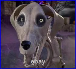 7 FOOT Skeleton Dog Skelly's Home Accent Halloween 2025 GREAT DEAL 05/25