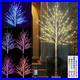 7_Ft_RGB_Lighted_Birch_Tree_35_Colors_Light_up_Tree_with_Remote_150_LED_Color_01_iv