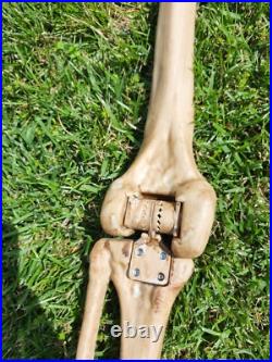 7 Ft Tall Plastic Skeleton Indoor/Outdoor Decoration Posable Slightly Used 7 Ft Tall Plastic Skeleton Indoor/Outdoor Decoration Posable Slightly Used