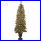 7_Pre_Lit_Pine_Christmas_Tree_for_a_Festive_Holiday_Atmosphere_01_mtl