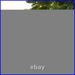 7' Sierra Spruce Artificial Christmas Tree with Clear LED Lights and Tips 7' Sierra Spruce Artificial Christmas Tree with Clear LED Lights and Tips