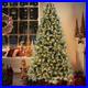 7_ft_Prelit_Artificial_Christmas_Tree_Snow_Frosted_Xmas_Tree_with_450_light_01_qxq