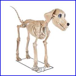 7 ft. Skeleton Dog Skelly's Home Accent Halloween Home Depot Fast Ship