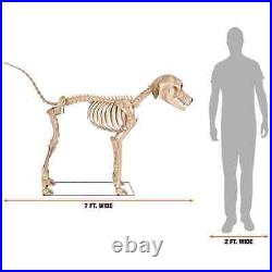 7 ft. Skeleton Dog Skelly's Home Accent Halloween Home Depot Fast Ship