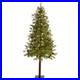 7ft_Wyoming_Alpine_Artificial_Christmas_Tree_with_200_Clear_Multifunction_LE_01_ft
