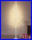 8FT_Lighted_Birch_Tree_1440_LEDs_Warm_White_Lights_8_Modes_Light_Up_White_Ar_01_tsu