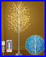 8FT_Lighted_Birch_Tree_Birch_Tree_with_210_LED_Lights_8_Flash_Modes_and_Tim_01_yhsj