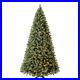 9_Artificial_Christmas_Tree_850_LED_Color_Changing_Lights_Woodlake_Spruce_01_bxg