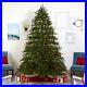 9_Colorado_Mountain_Pine_Artificial_Christmas_Tree_with650_LED_Retail_1023_01_ng