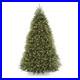 9_Ft_National_Tree_Company_Dunhill_Fir_Artificial_Tree_Incandescent_Lights_01_jtyq