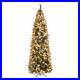 9ft_Pre_Lit_Premium_Hinged_Artificial_Xmas_Christmas_Pine_Tree_8_Mode_LED_Light_01_tjd
