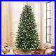 9ft_Prelit_Artificial_Hinged_Christmas_Tree_with_670_RGB_Light_3738_Tip_Decoration_01_sej