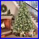 9ft_Prelit_Blue_Spruce_Christmas_Tree_PE_PVC_Artificial_Xmas_Tree_1150_Light_01_lj