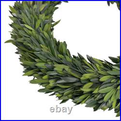 Arcadia 20 In. Preserved Olive Leaf Wreath