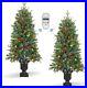 Artificial_Christmas_Tree_Colored_LED_Changing_Lights_Timer_by_Remote_Control_01_vl