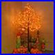 Artificial_Lighted_Maple_Tree_with_Timer_Dimmable_Fall_Indoor_Outdoor_Decor_01_qkhp
