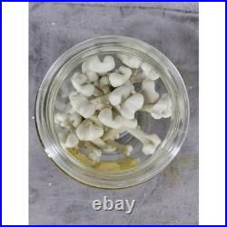 Ashland Halloween Ravenshead Manor Skull Lid Jar Magical Ingredients Decor