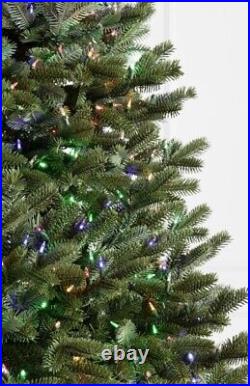 BH Fraser Fir Christmas Tree Twinkly Light 6.5 Fraser Fir # 88762810277010122