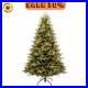 BIG_SALE_Holiday_Living_7_5_ft_Parque_Pre_lit_Color_LED_Tree_01_me