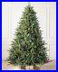 Balsam_Classic_Blue_Spruce_5_5_tree_with_LED_Color_and_Clear_lights_01_ulni