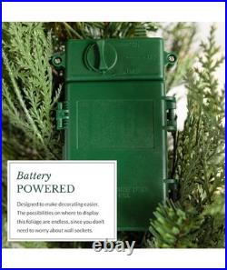 Balsam Hill 10' lighted Garland