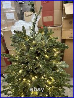Balsam Hill 5.5 Fraser Fir Color+Clear Easy Plug Christmas Tree (READ DESCRIPTI) Balsam Hill 5.5 Fraser Fir Color+Clear Easy Plug Christmas Tree (READ DESCRIPTI)