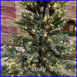 Balsam Hill 6.5 Blue Spruce Candlelight Clear Christmas Tree LED Easy Plug $799