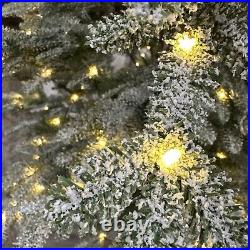 Balsam Hill 9 Foot Frosted Alpine Balsam Fir Tree Fairy Lights Open $999 READ Balsam Hill 9 Foot Frosted Alpine Balsam Fir Tree Fairy Lights Open $999 READ