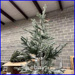 Balsam Hill 9 Foot Frosted Alpine Balsam Fir Tree Fairy Lights Open $999 READ Balsam Hill 9 Foot Frosted Alpine Balsam Fir Tree Fairy Lights Open $999 READ