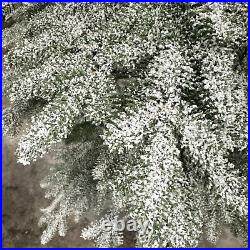 Balsam Hill 9 Foot Frosted Alpine Balsam Fir Tree Fairy Lights Open $999 READ Balsam Hill 9 Foot Frosted Alpine Balsam Fir Tree Fairy Lights Open $999 READ
