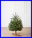 Balsam_Hill_Baby_Nordmann_Artificial_Tabletop_Christmas_Trees_01_hsv