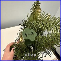 Balsam Hill Berkshire Mountain Fir 6 Foot Clear Light Garland NEW / Distress box