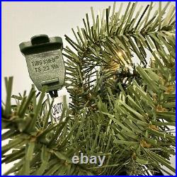 Balsam Hill Berkshire Mountain Fir 6 Foot Clear Light Garland NEW / Distress box