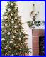 Balsam_Hill_Christmas_Tree_Classic_Blue_Spruce_7_5_Width_60_Clear_01_sdbr