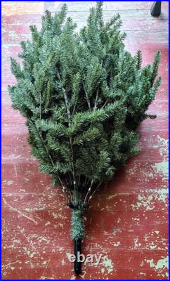 Balsam Hill Christmas Tree Unlit Classic Blue Spruce 7' with Storage Bag Balsam Hill Christmas Tree Unlit Classic Blue Spruce 7' with Storage Bag