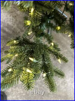 Balsam Hill European Fir 5.5 Clear LED Open $799 Storage bag included-5.5 READ Balsam Hill European Fir 5.5 Clear LED Open $799 Storage bag included-5.5 READ