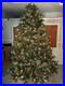Balsam_Hill_Fraser_Fir_12_Ft_Christmas_Tree_01_cofj