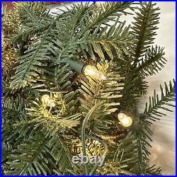 Balsam Hill Fraser Fir Garland 10 Ft Clear Lights OPEN 10' Electric US Plug $199