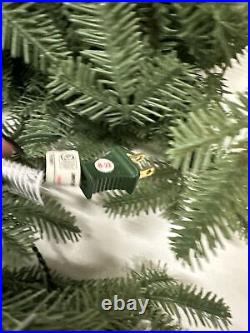 Balsam Hill Fraser Fir Garland 10 Ft Clear Lights OPEN 10' Electric US Plug $199