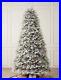 Balsam_Hill_Frosted_Fraser_Fir_5_5_tree_with_LED_Color_and_Clear_lights_01_bgov