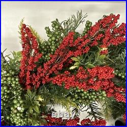 Balsam Hill Outdoor Berry Burst 28 Wreath Clear LED $179 READ LISTING White sp