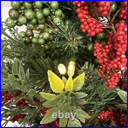 Balsam Hill Outdoor Berry Burst 28 Wreath Clear LED $179 READ LISTING White sp