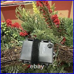 Balsam Hill Outdoor Berry Burst 28 Wreath Clear LED $179 READ LISTING White sp