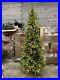 Balsam_Hill_Red_Spruce_Slim_9_Foot_Candlelight_LED_READ_Description_1299_01_obuw