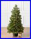 Balsam_Hill_YUKON_SPRUCE_POTTED_TREE_4_Potted_Tree_with_LED_clear_Micro_lights_01_pmc