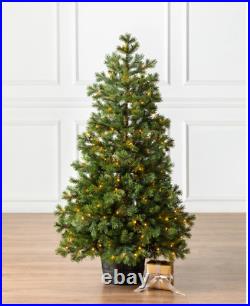 Balsam Hill YUKON SPRUCE POTTED TREE 4' Potted Tree with LED clear Micro lights