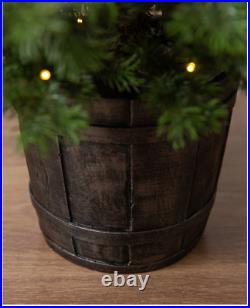 Balsam Hill YUKON SPRUCE POTTED TREE 4' Potted Tree with LED clear Micro lights