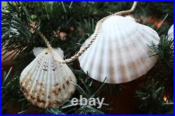 Beach Theme Holiday Decor Large Seashell Swag Garland, Handmade, 68 +, G-89 Beach Theme Holiday Decor Large Seashell Swag Garland, Handmade, 68 +, G-89