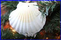 Beach Theme Holiday Decor Large Seashell Swag Garland, Handmade, 68 +, G-89 Beach Theme Holiday Decor Large Seashell Swag Garland, Handmade, 68 +, G-89